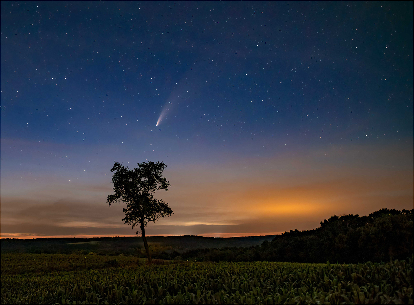Flight-Of-The-Comet-And-The-Firefly
